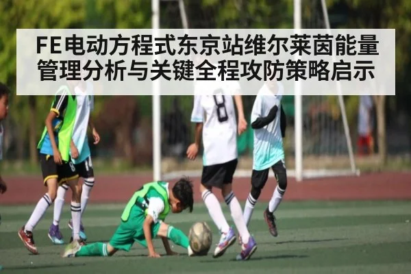 FE电动方程式东京站维尔莱茵能量管理分析与关键全程攻防策略启示 | kaiyun